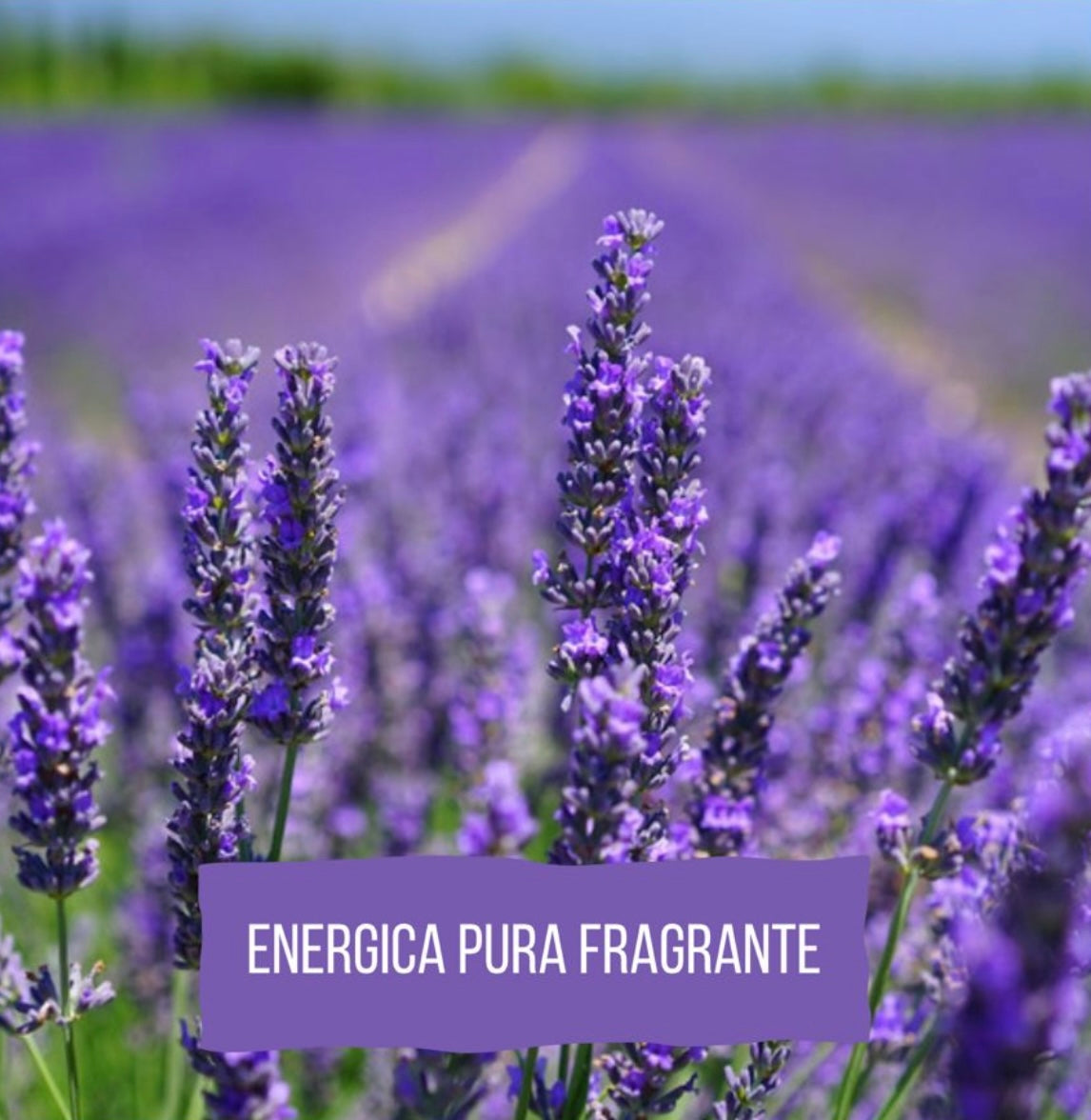 Shampoo alla lavanda